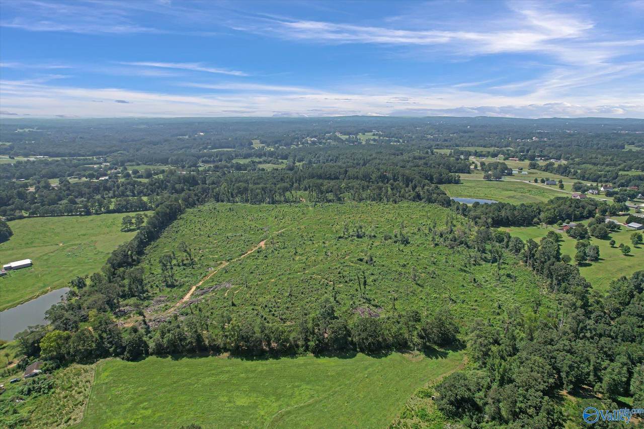 69+/- Acres Beulah Road - Photo 1