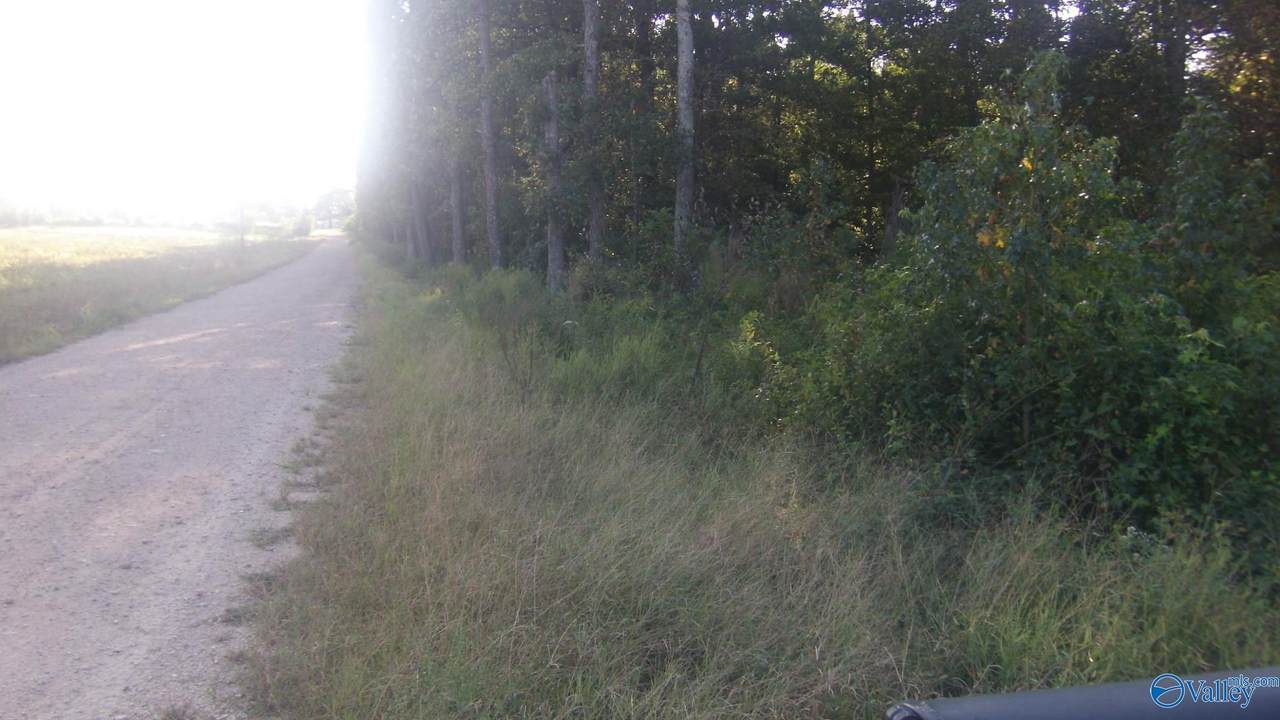 5331 County Road 9 - Photo 1