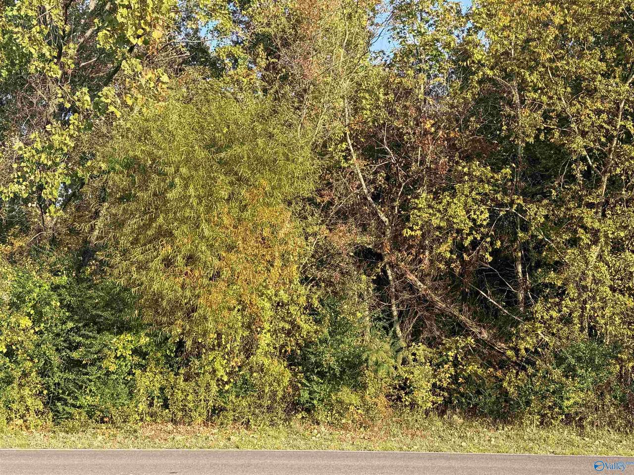 Lot 1 & 2 Central Avenue - Photo 1