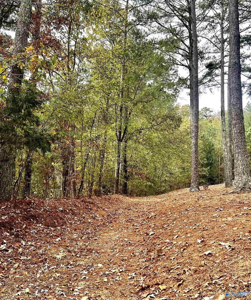6408 Trussville Clay Road - Photo 1