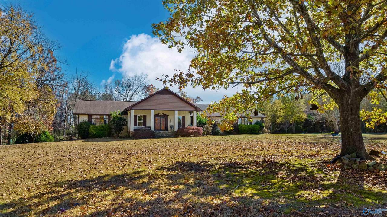 34953 Alabama Highway 75 - Photo 1