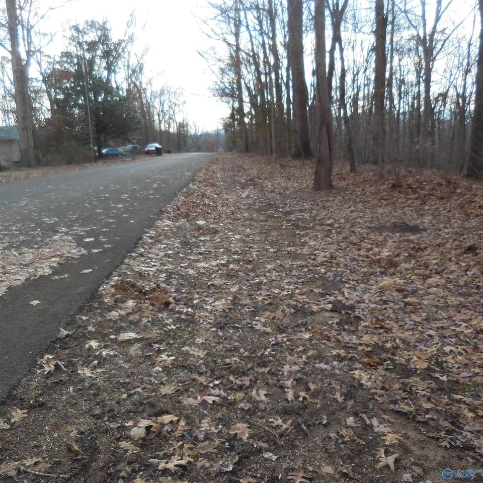 5 Newport Drive - Photo 1