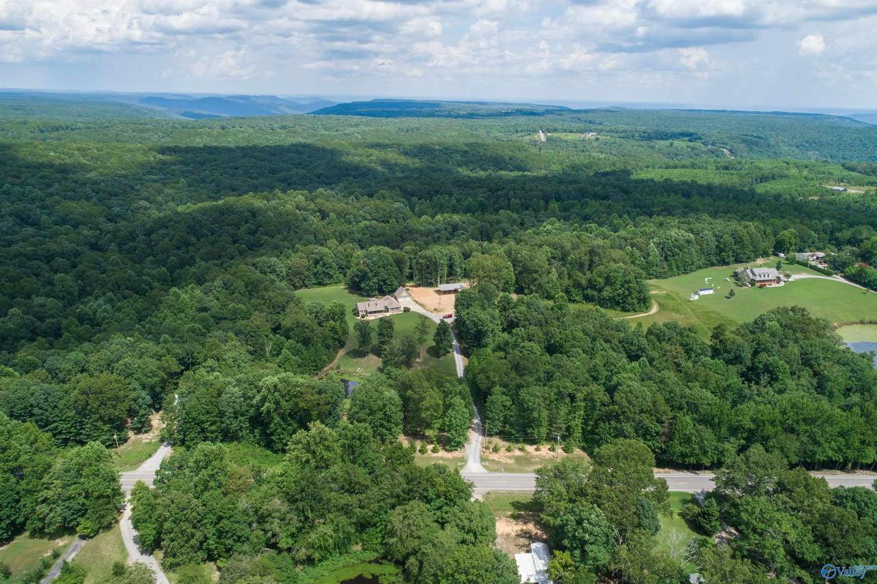 46 acres Alabama Highway 79 - Photo 1
