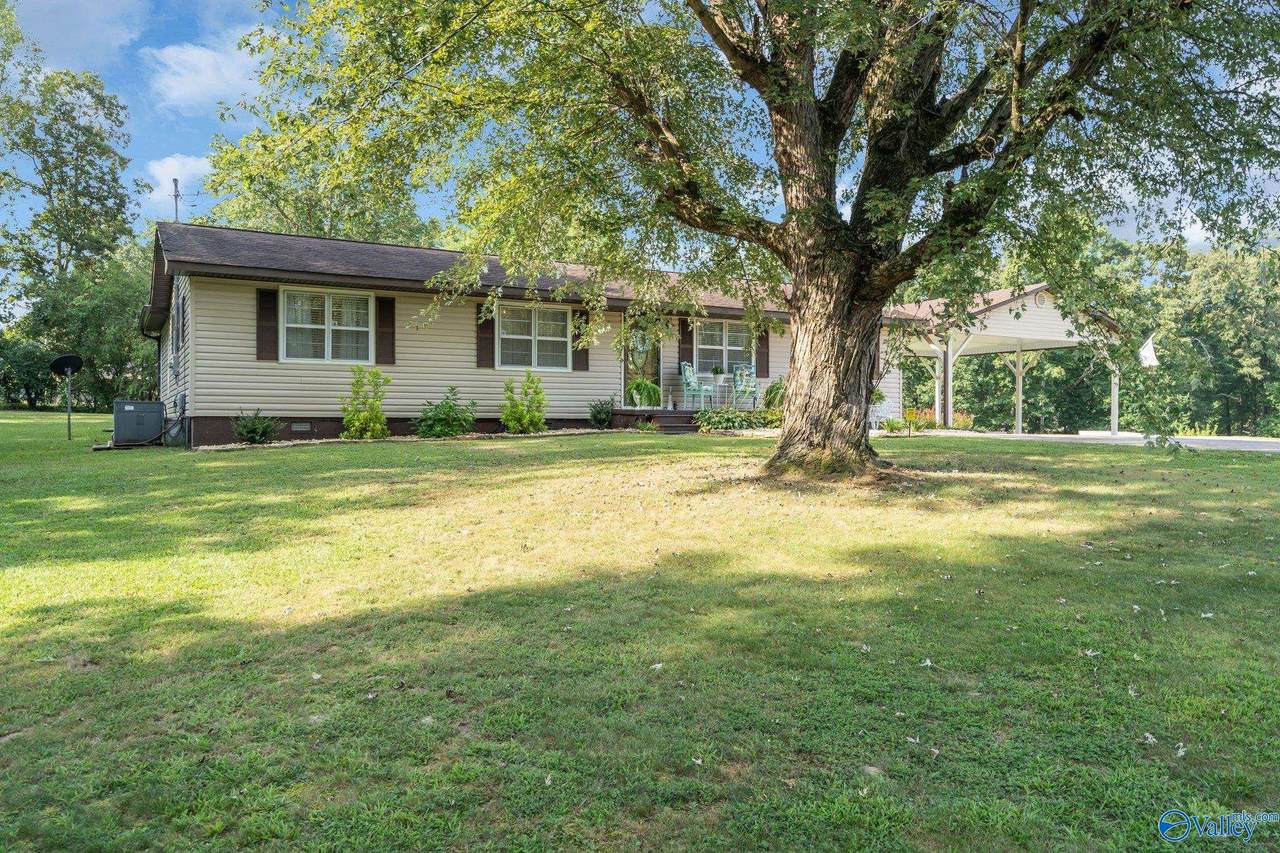 261 Sand Mountain Drive - Photo 1