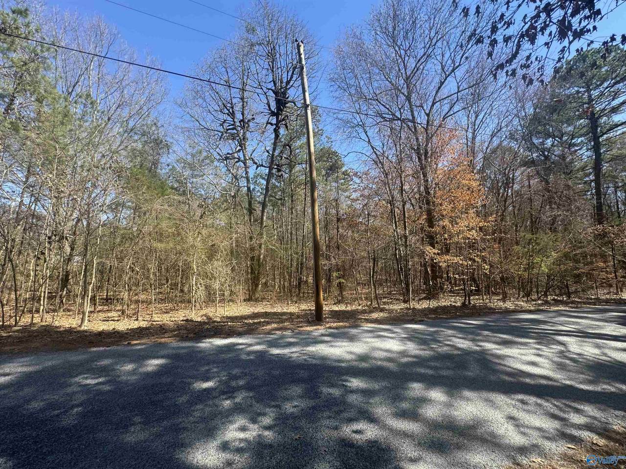 Lot 62 Batts Road - Photo 1