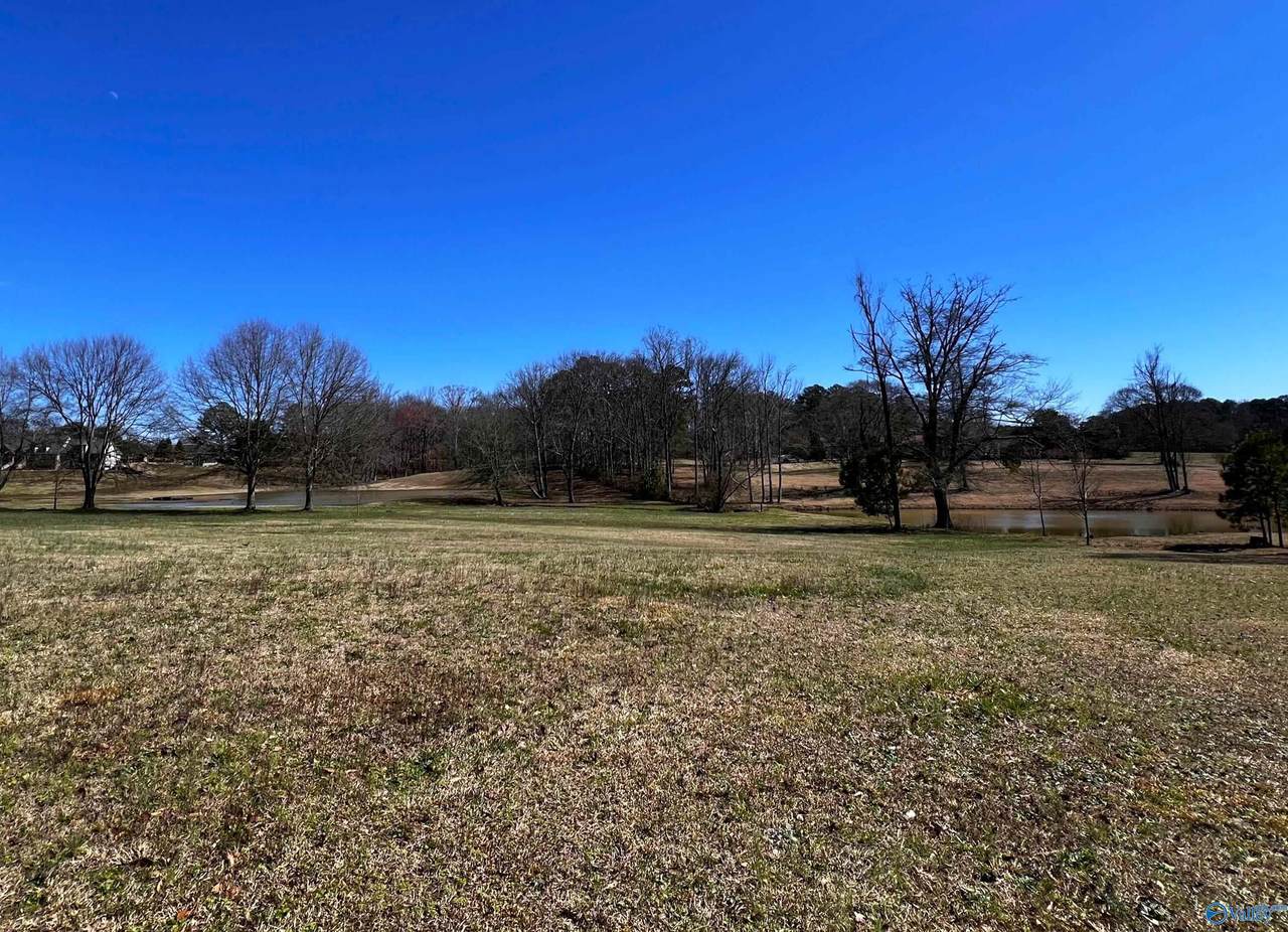 .93 Acres Whitesville Road - Photo 1