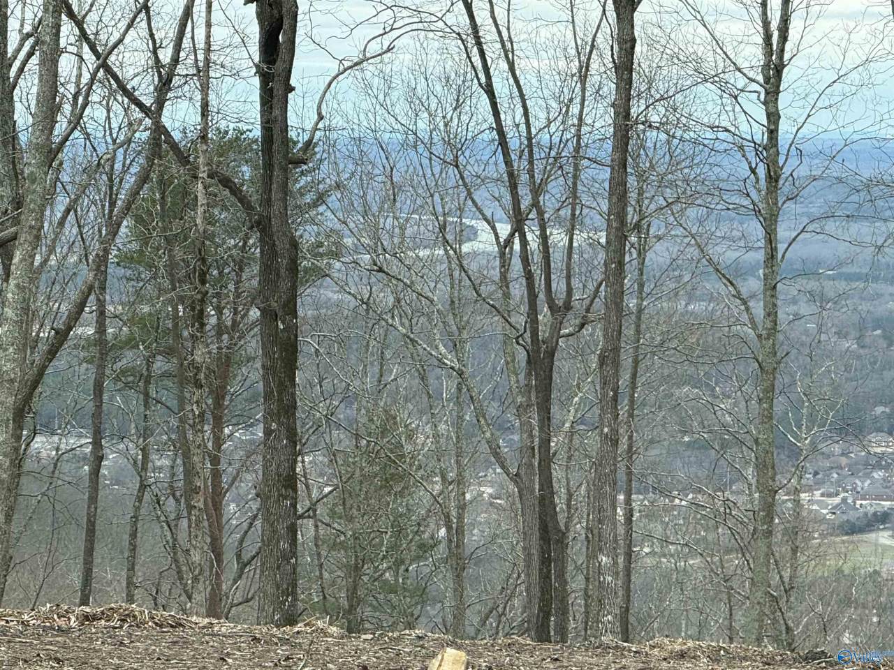14040 Monte Vedra Road - Photo 1