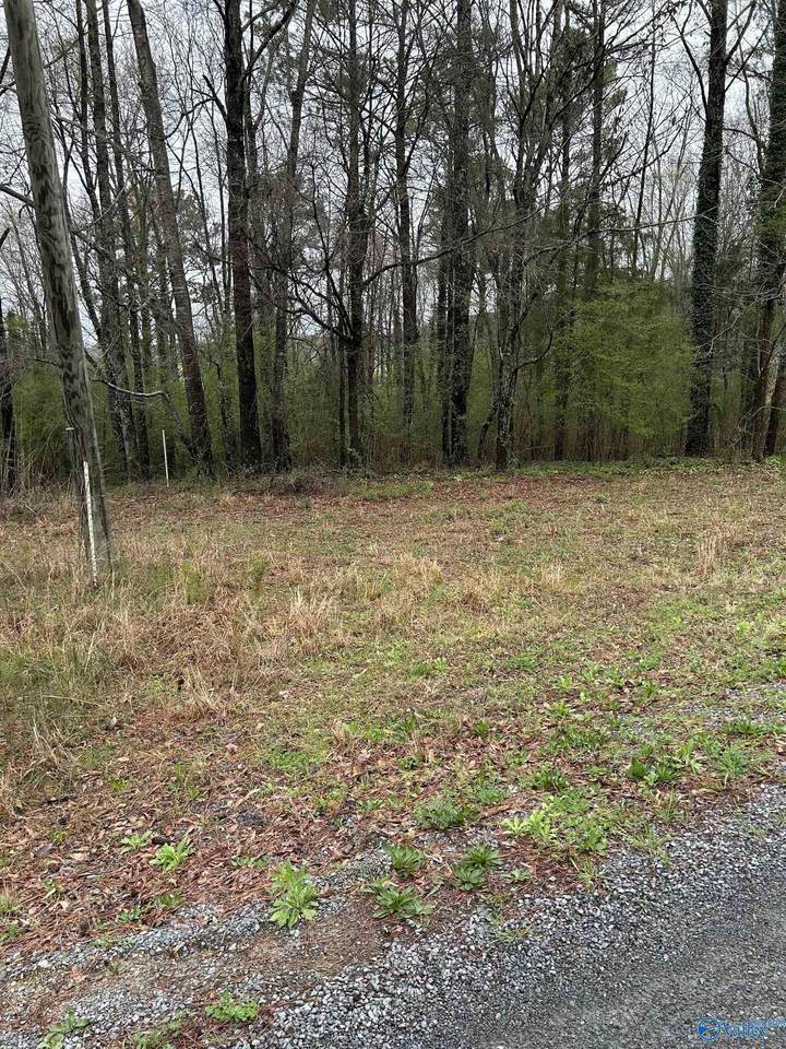 Lot 11, 0.91 ac Dry Creek Road - Photo 1