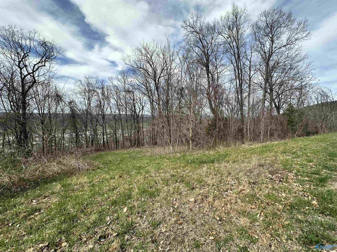 lot 5 Rosewood Drive - Photo 1