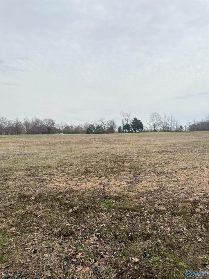 1.6 Acres Malone Estates - Photo 1
