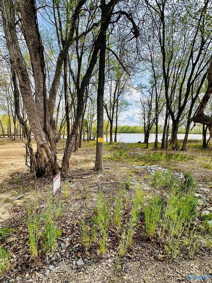 8 County Road 115 - Photo 1