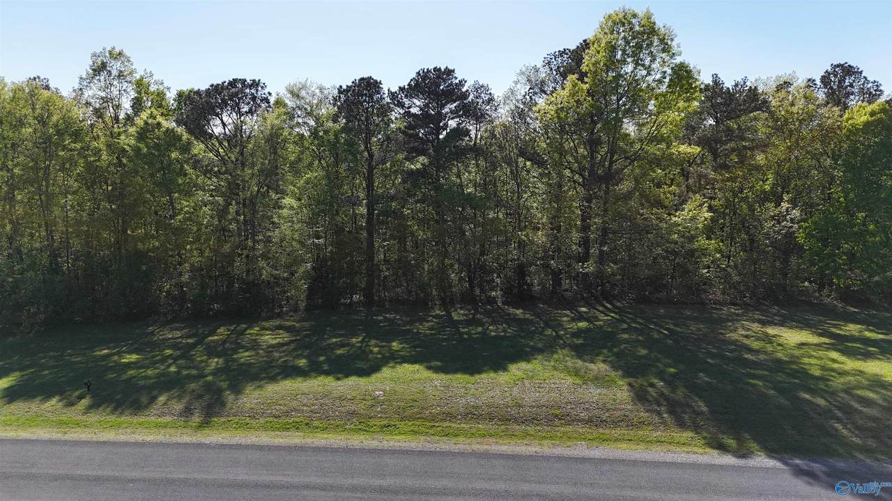 14 Worthington Lane - Photo 1