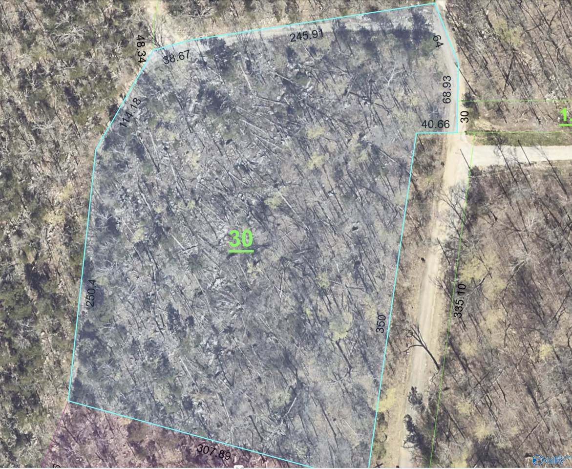 3 Acres Killingsworth Cove Road - Photo 1