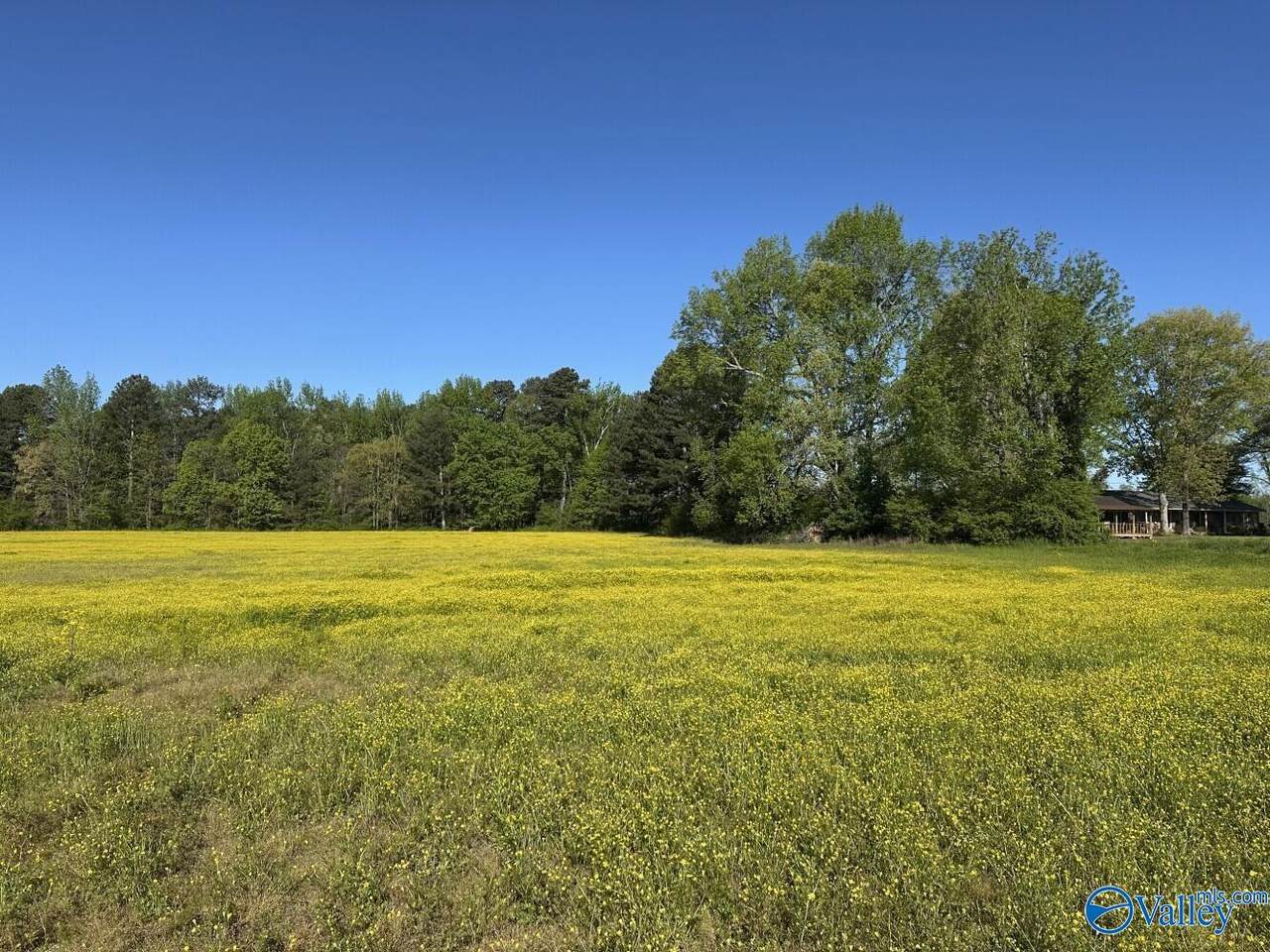 77 +/- ACRES Parker Road - Photo 1