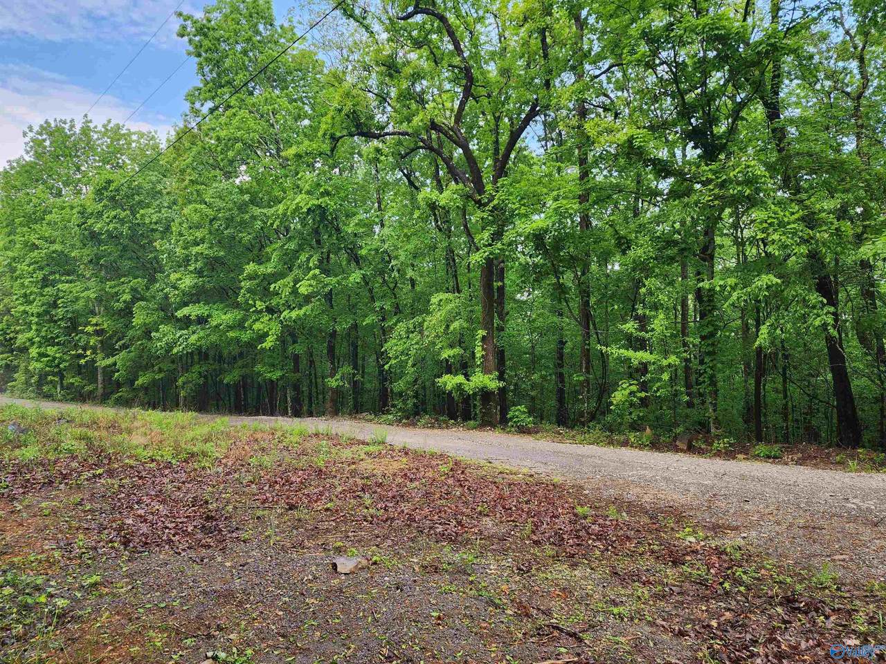Lot 0 Huskey Mountain Road - Photo 1