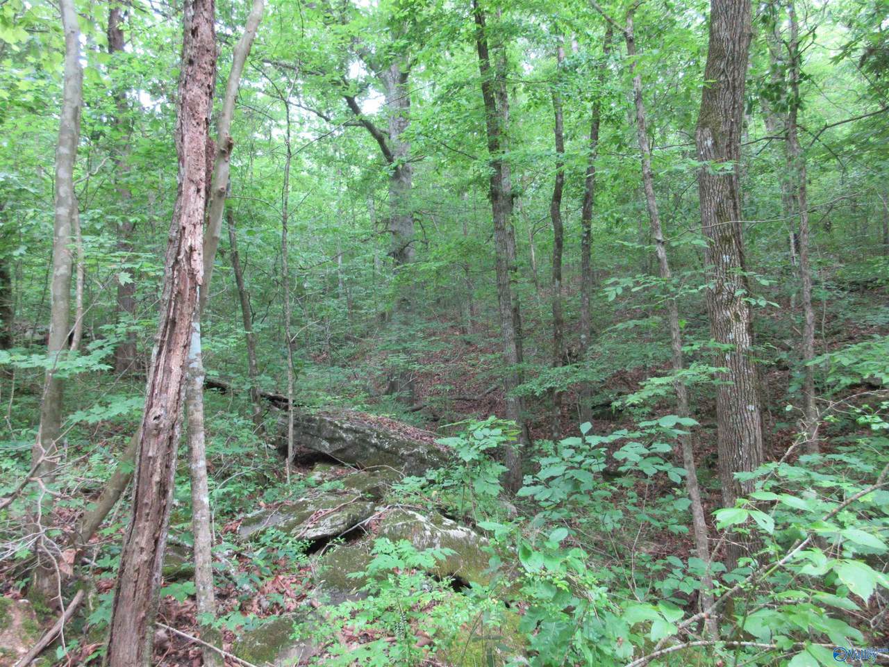 2025 County Road 74 - Photo 1