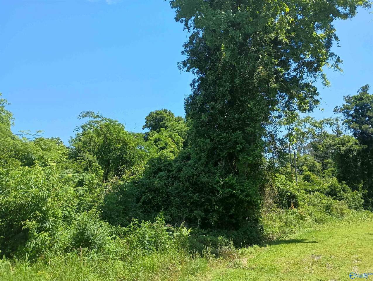 110 Morgan Street - Photo 1