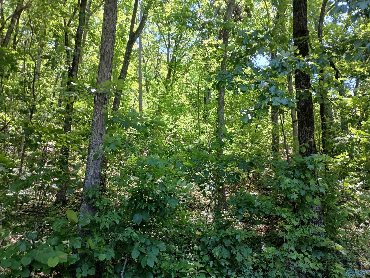 386 Creekview Drive - Photo 1