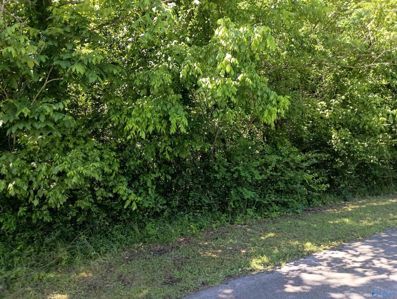 405 Hammond Avenue - Photo 1