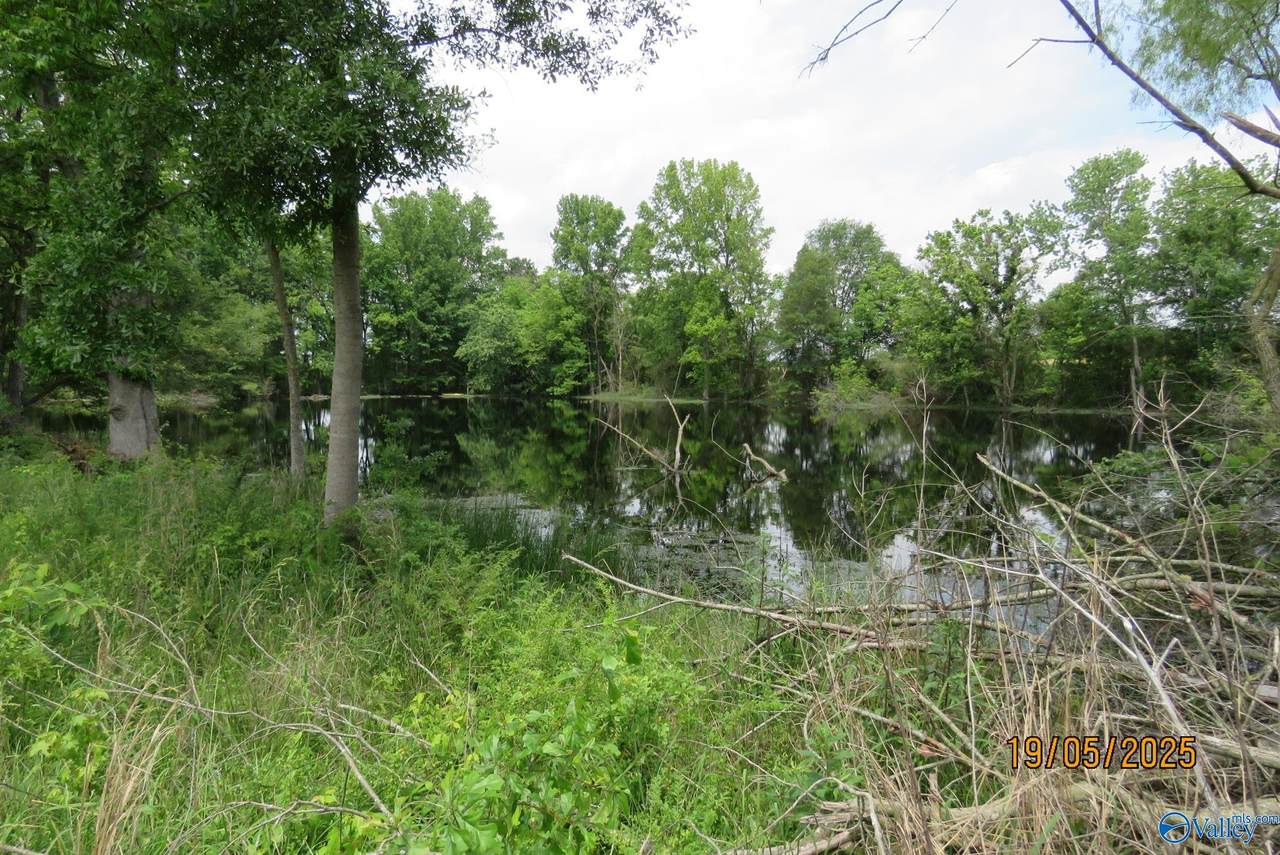 18.56 Acres New Clear Creek Road - Photo 1