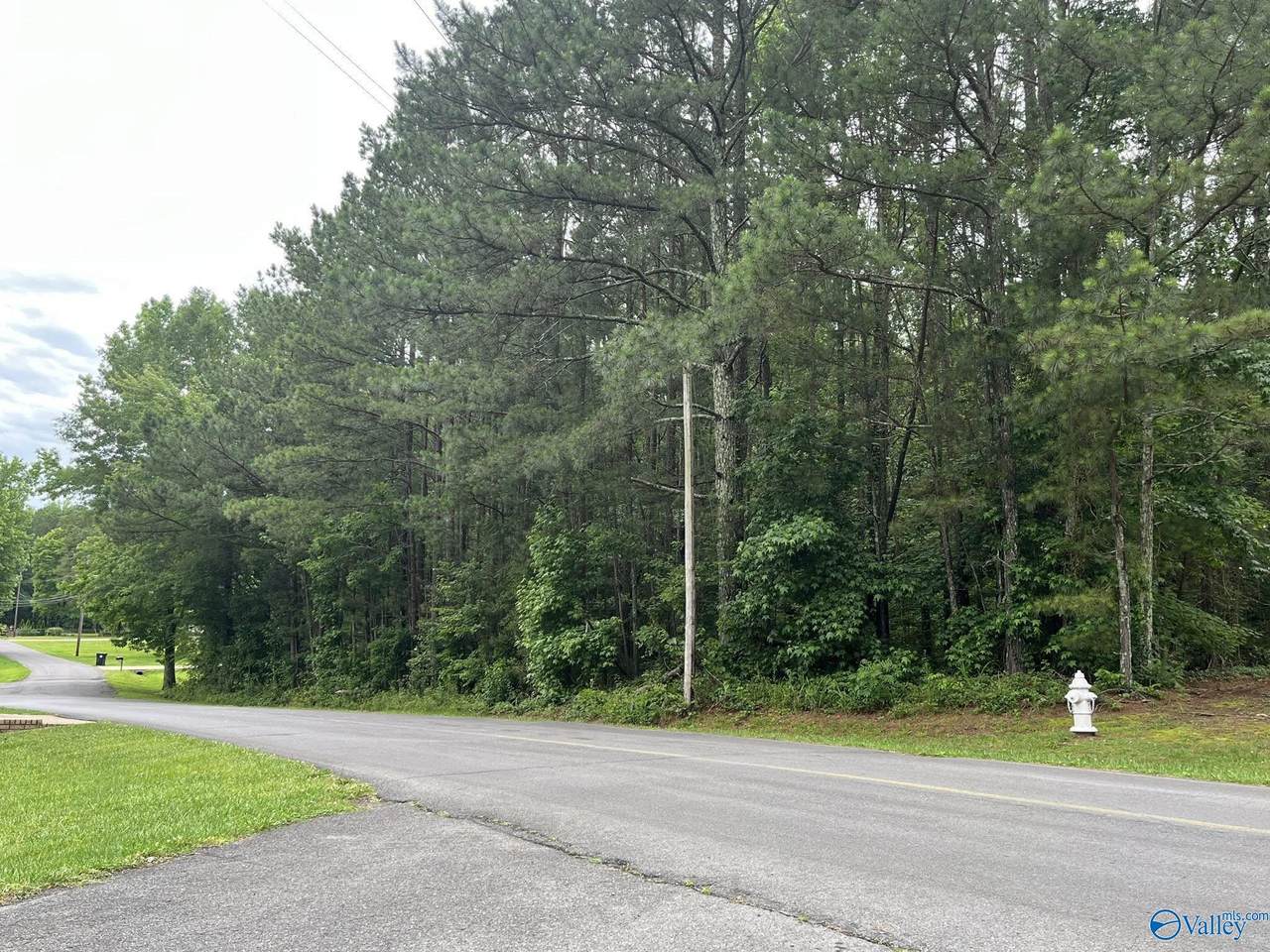 0.83 Oakhill Road - Photo 1