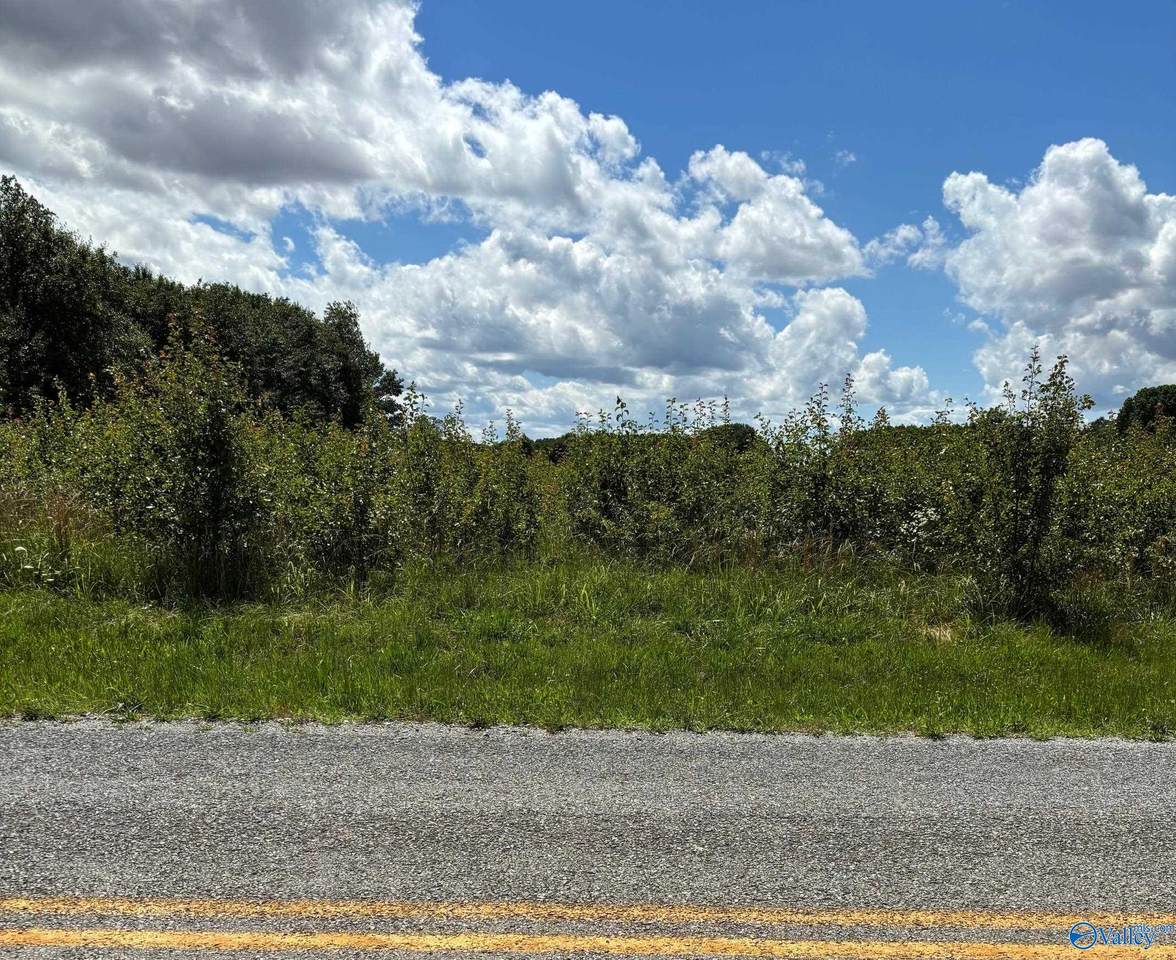 Lot 16 Vanzille Lane - Photo 1