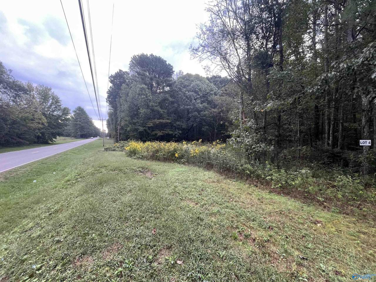 415 Austinville Flint Road - Photo 1