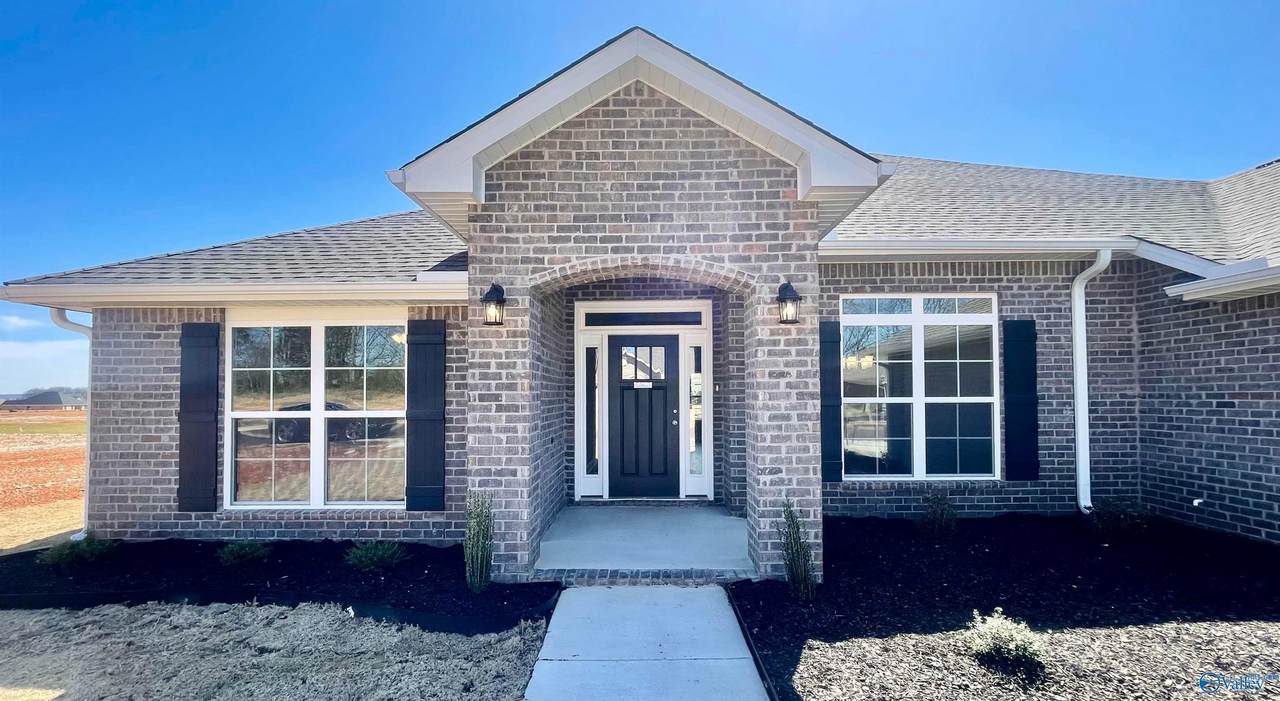 317 Carnation Avenue - Photo 1