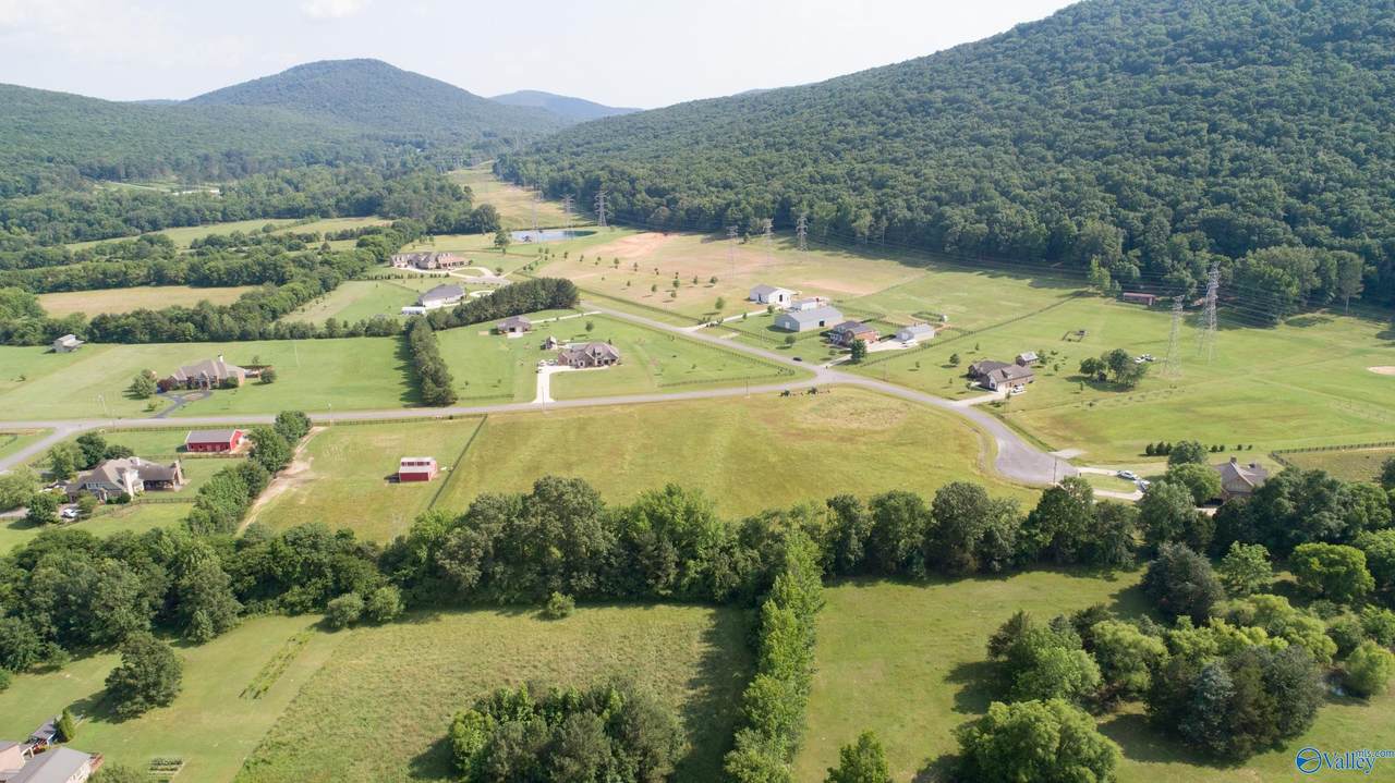 6.4 Acres Dandy Circle - Photo 1