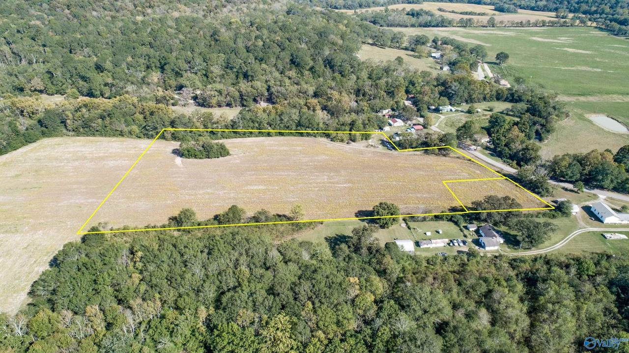 +/-  9.92 Acres Alabama Highway 65 - Photo 1