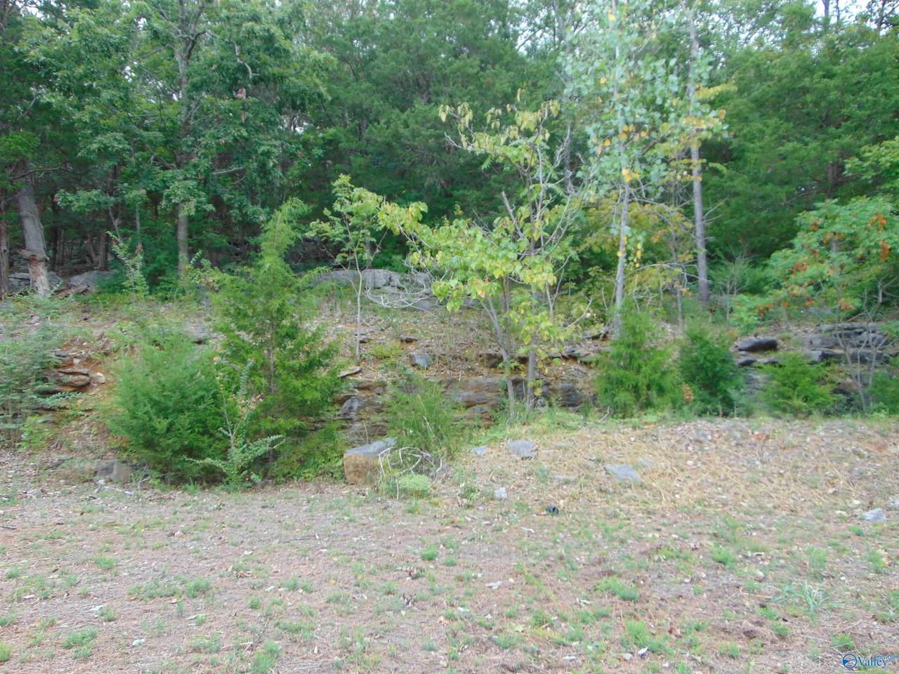 7739 Donegal Drive - Photo 1