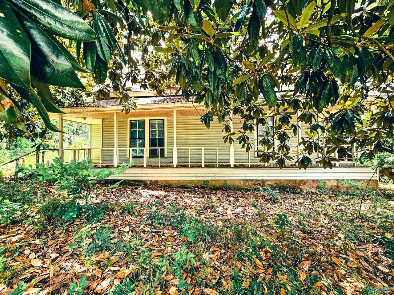 151 Dowdle Street - Photo 1