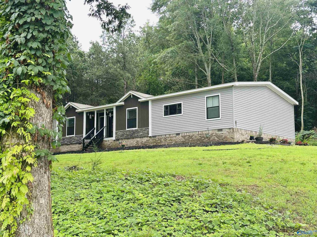 86 Sweet Home Rd - Photo 1