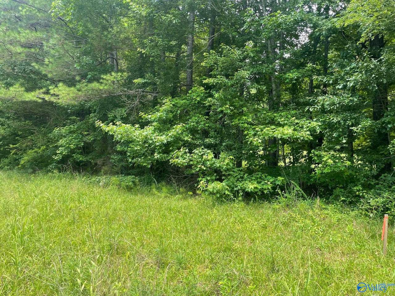 8.1AC County Road 1198 - Photo 1