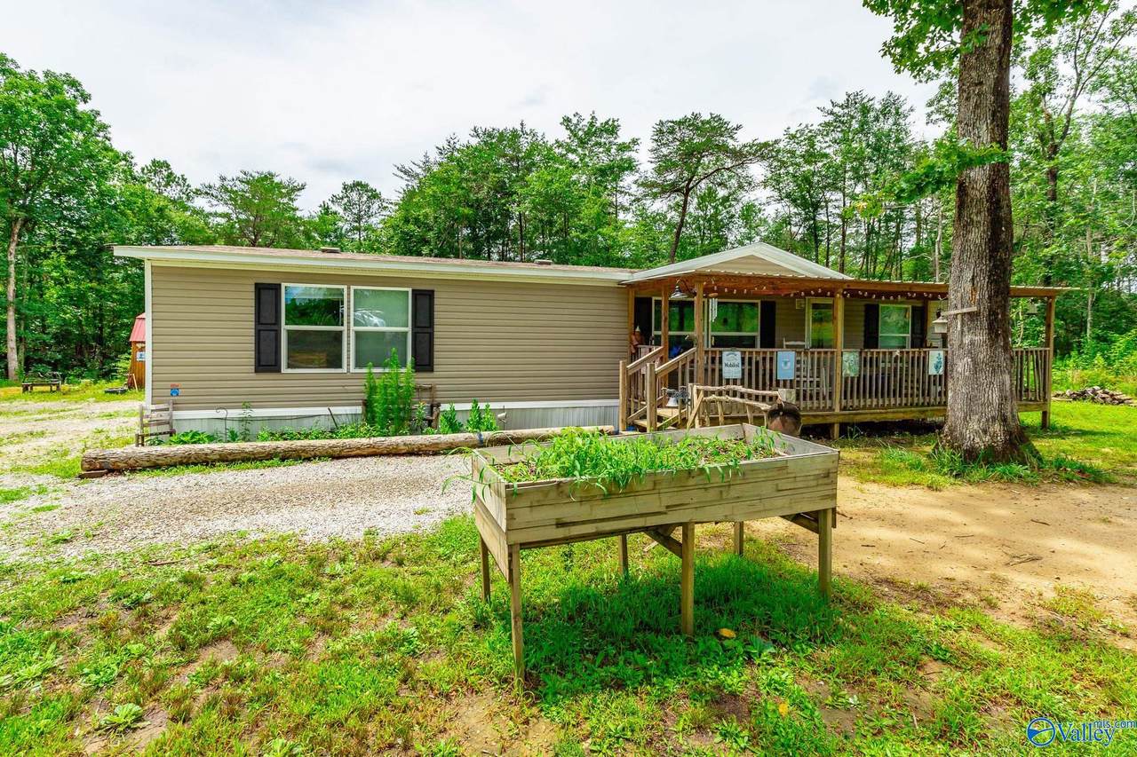 287 County Road 431 - Photo 1
