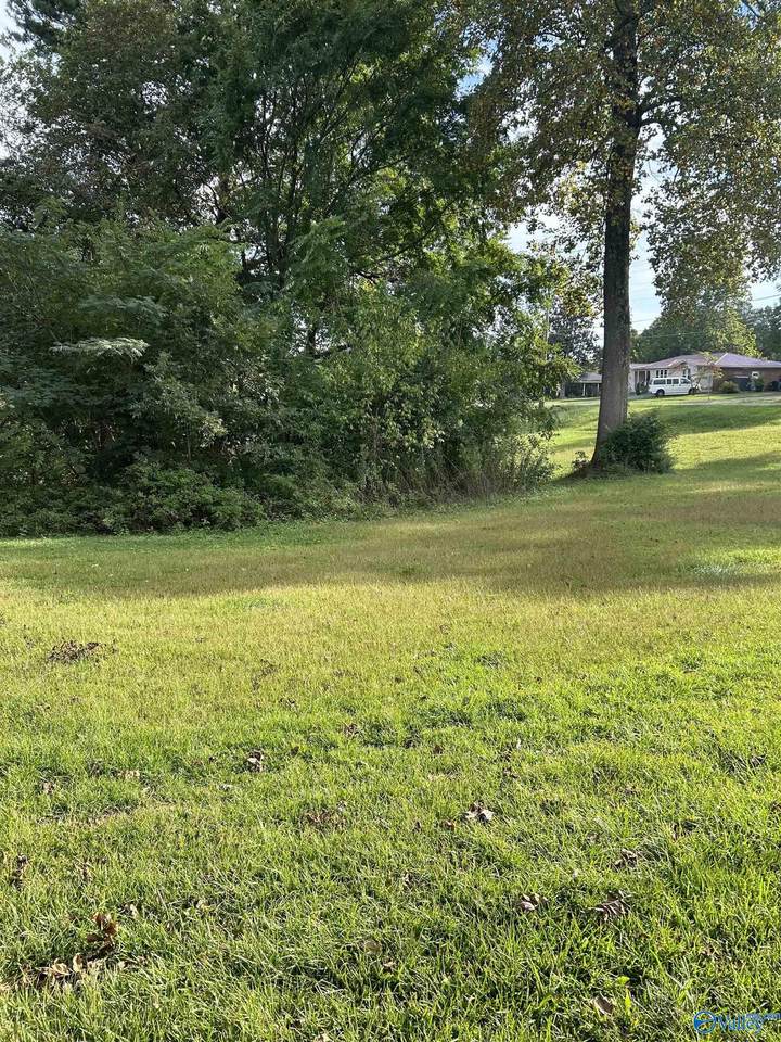 16-17-1 Jarmon Road - Photo 1