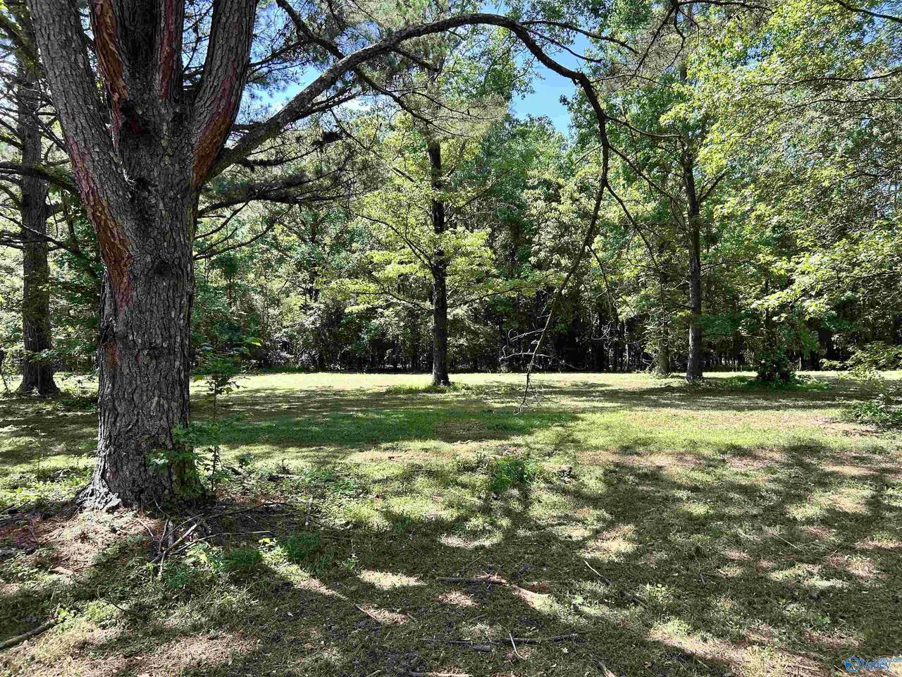 135 County Road 692 - Photo 1