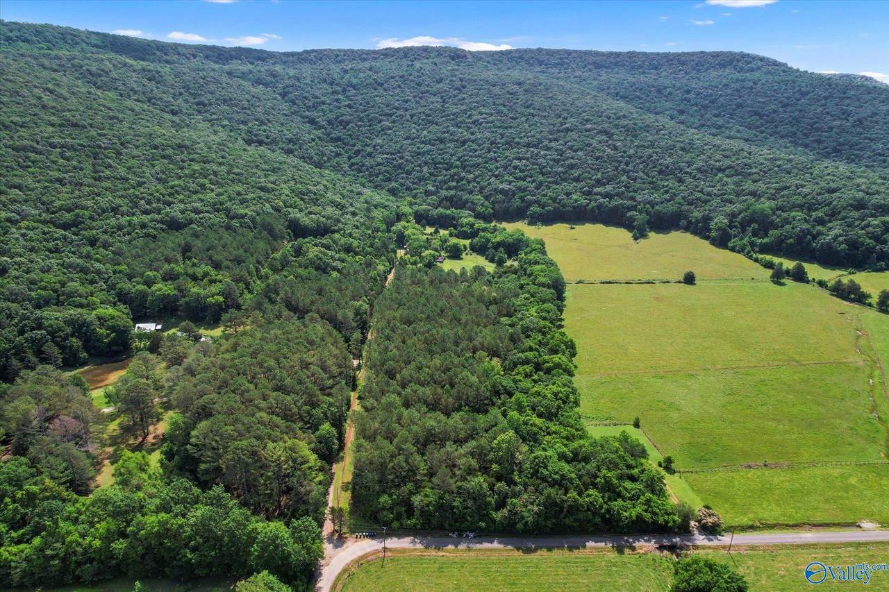 593 Sharps Hollow Road - Photo 1