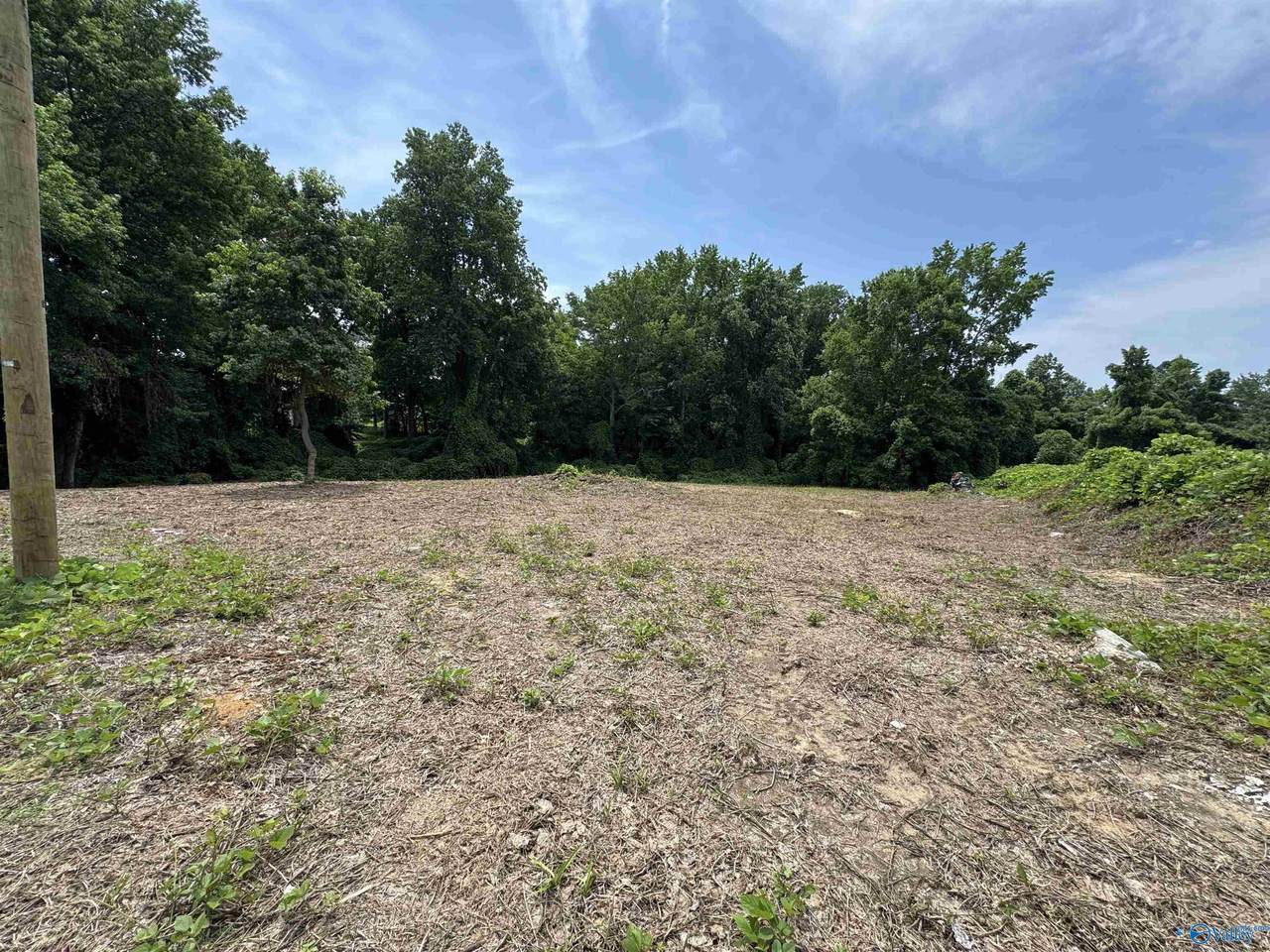 0.92 acre lot George Wallace Drive - Photo 1