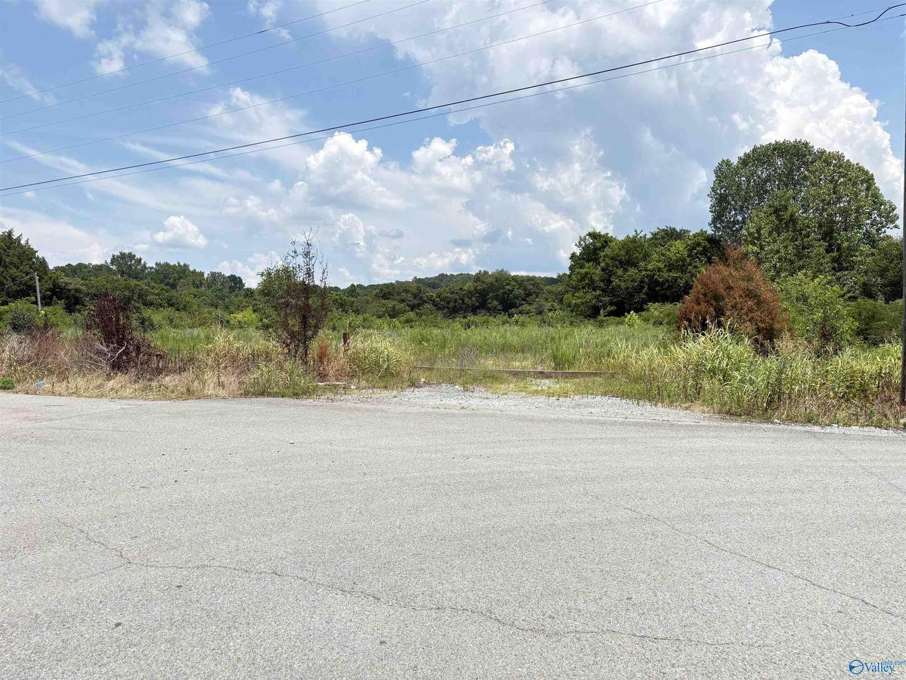+/-3 ac Cox Avenue - Photo 1