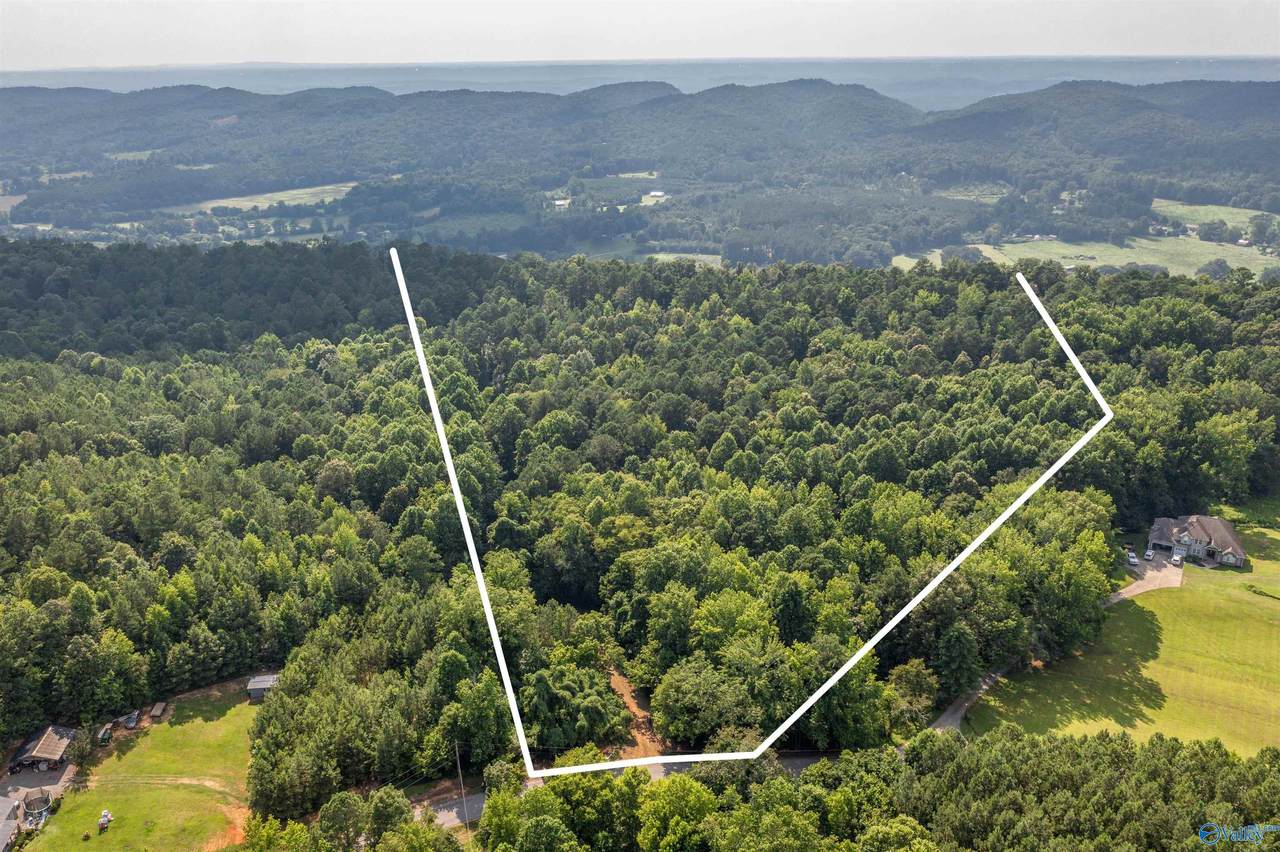 50 Acres Scenic Highway - Photo 1