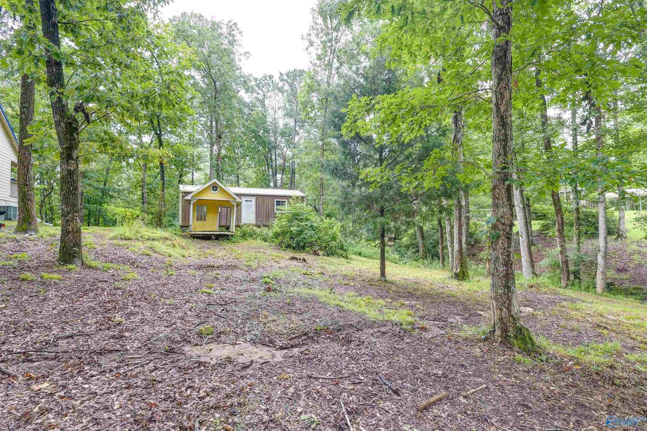 219 County Road 221 - Photo 1