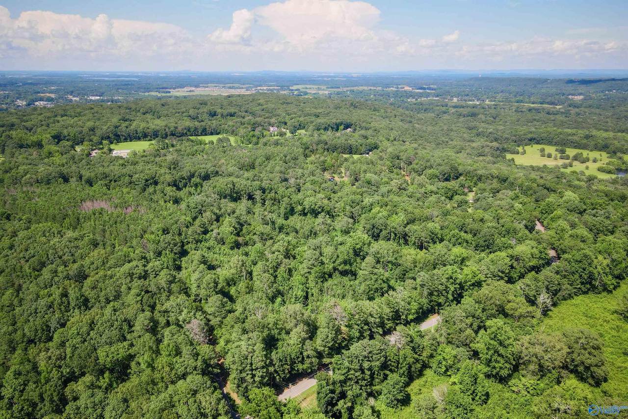 5 Acres Part B Willow Bend Road - Photo 1