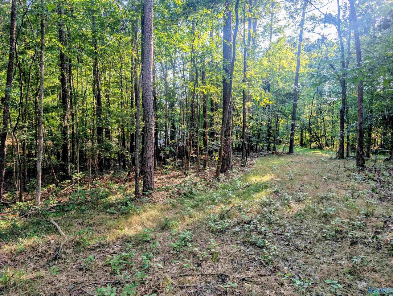 Lot 37 County Road 683 - Photo 1