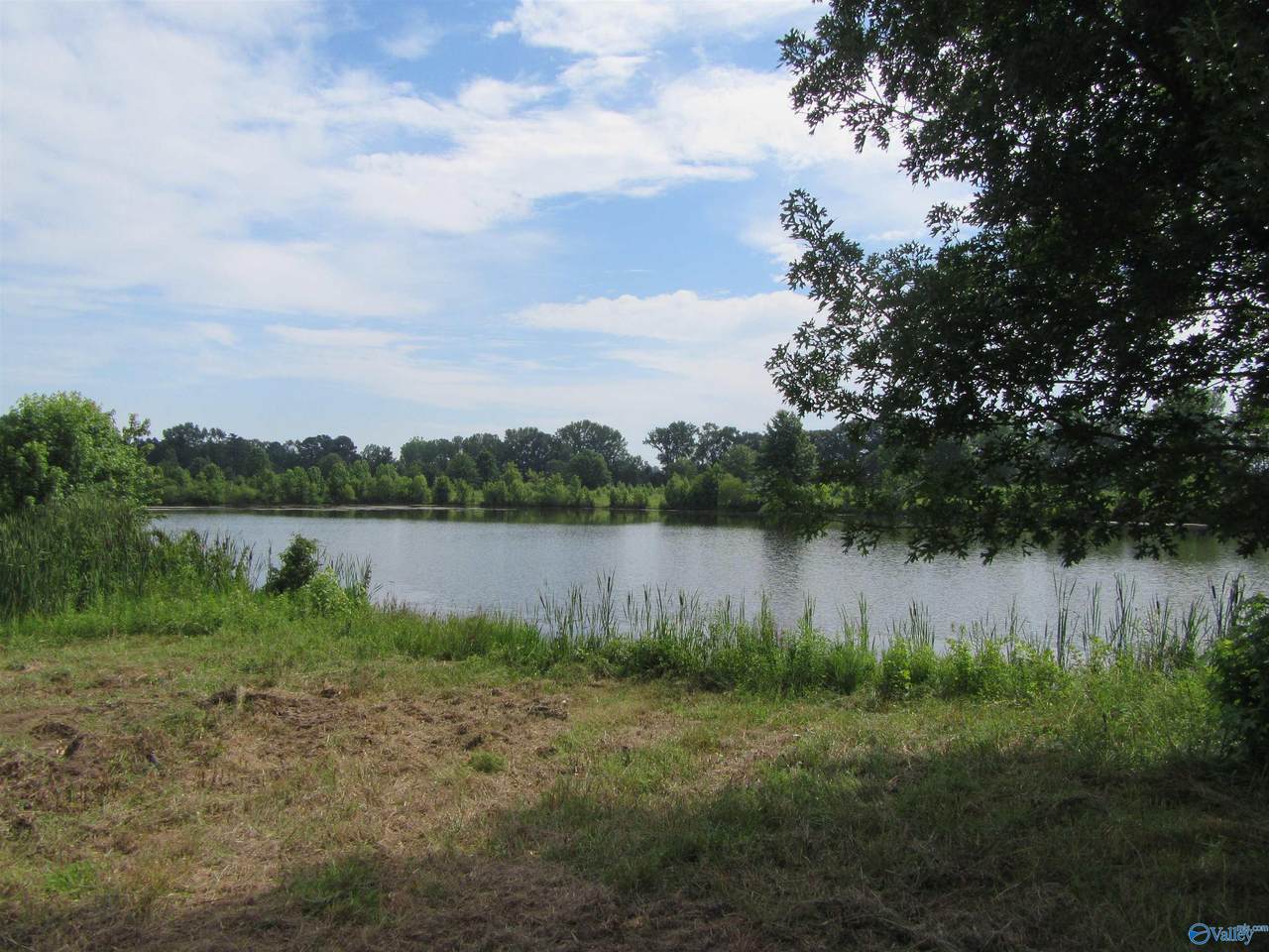 Lot 12 County Road 487 - Photo 1