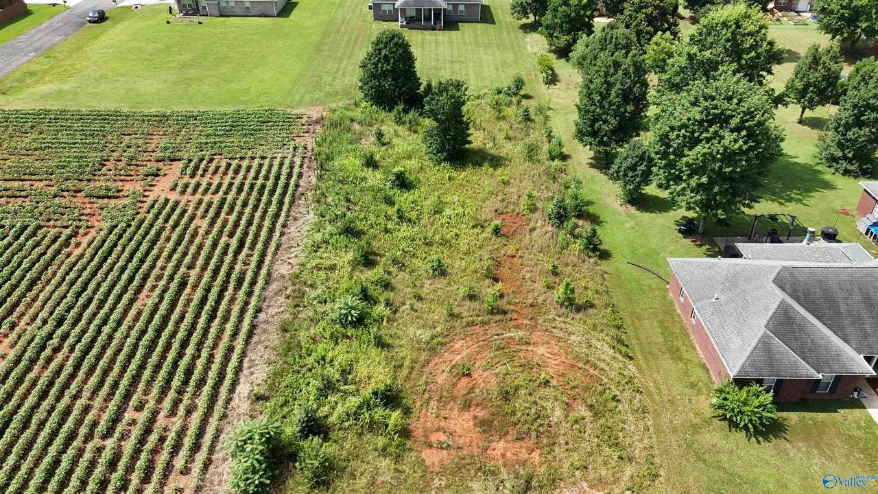 0.40 acres Laurel Oak Road - Photo 1