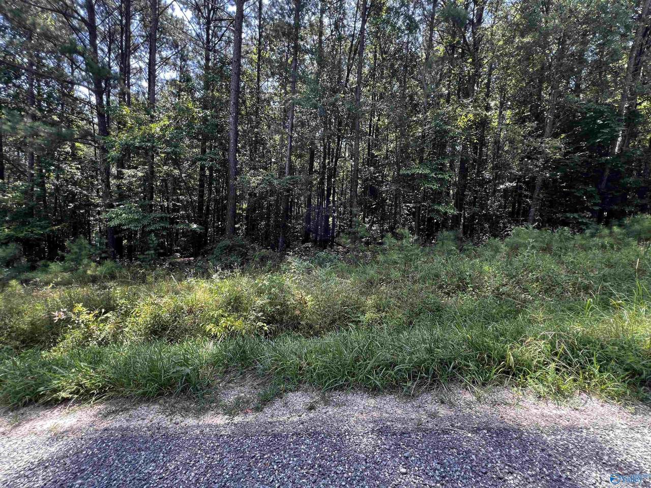 LOT 15 County Road 592 - Photo 1