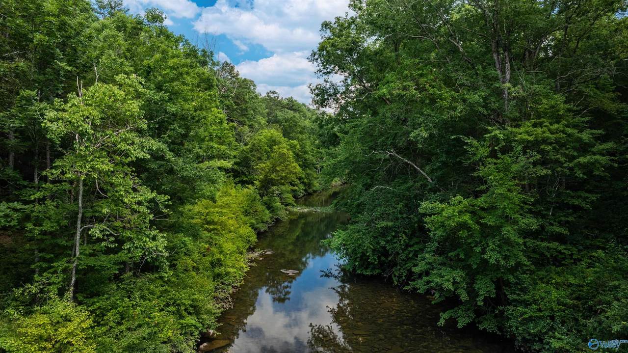 4.5 ACRES County Road 632 - Photo 1