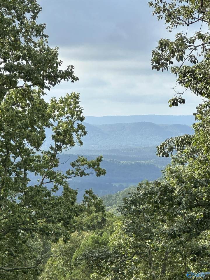 195 County Road 844 - Photo 1