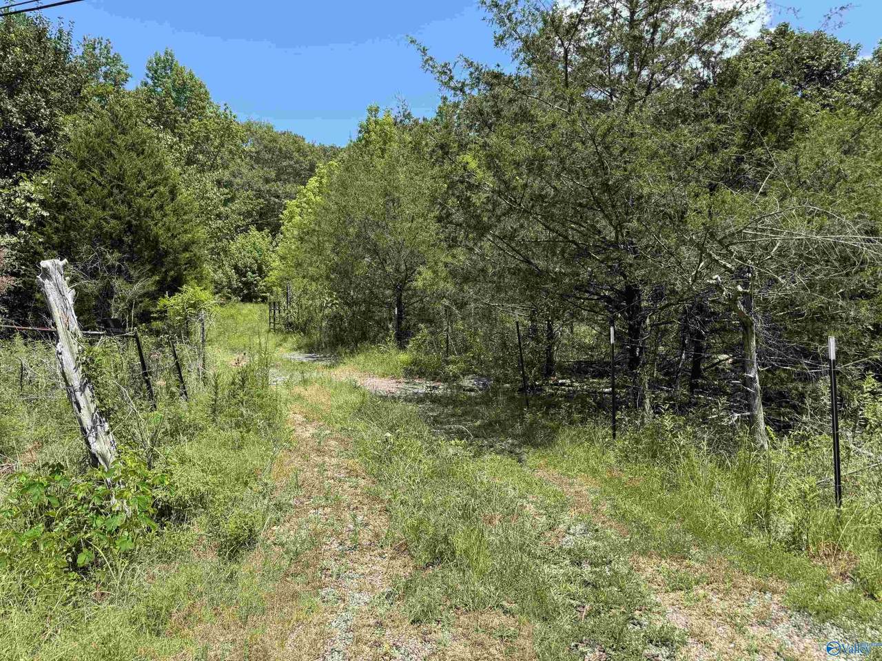 494 County Road 221 - Photo 1